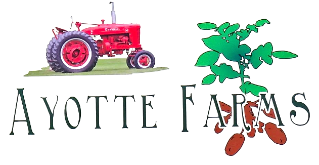 Ayotte Farms sign: a red Farmall tractor and a potato plant